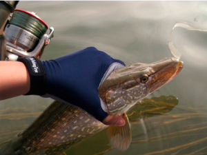 The Fishing Tree - Fingerless Fishing Glove